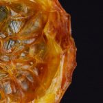 畅享歪歪漫画在线阅读,探索无限精彩故事 42u6bde66q