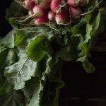 畅享日本电影:动漫在线免费观看平台推荐 5pbr4d2r