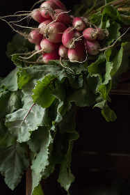 畅享日本电影：动漫在线免费观看平台推荐