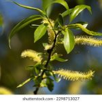 畅享欧乐影院在线观看电视剧,精彩内容一网打尽 7e6q0l1tbw