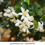 美剧网美剧天堂:畅享最新热门美剧,尽在你的掌中! 7phyi82f7