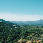 畅享樱花动漫在线观看,感受春日浪漫与青春热血 8rc2y26n