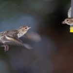 畅享最新日剧资源,尽在日剧TV网官网 a7yjx