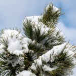 美剧鸟1:探索美剧中的精彩故事与角色 am5h537p7