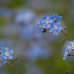 畅享最新热门韩剧,尽在韩剧网91 b9u74ls5hj