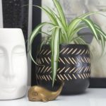 畅享海棠文学城:无弹窗免费网络小说阅读网下载指南 egnabz