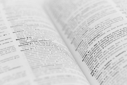 美しいカレンの写真集：心を癒す瞬間を捉えて