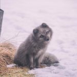 网址导航大全:全面汇集各类网站资源,轻松找到所需信息 s5l0a