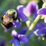 畅享日本电影在线看最新热门影片推荐 shw9n3n4mg