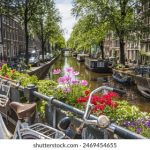 畅享漫画大全:免费无删减的精彩漫画网 tnqun7t3s