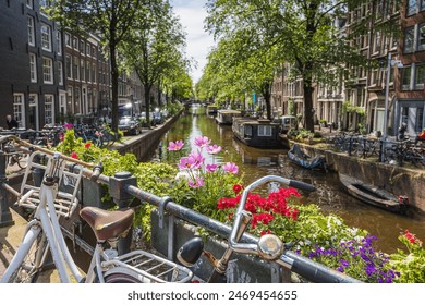 畅享漫画大全：免费无删减的精彩漫画网