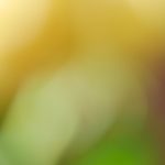 网飞官网首页进入:轻松畅享全球热门影视剧的最佳途径 v5lezokrk