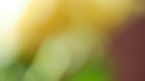 网飞官网首页进入：轻松畅享全球热门影视剧的最佳途径