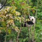 网飞TV在线观看:畅享全球热门影视剧的最佳选择 xtxq4