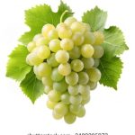 美剧网91:畅享最新热门美剧的最佳平台 y0nc2079